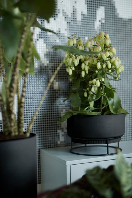 b.for studio schaal 30cm living black